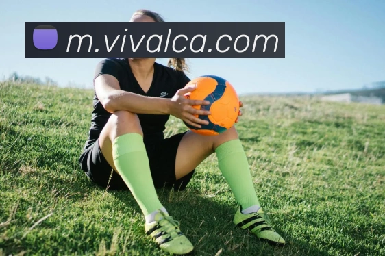 辅助工具